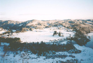 冬の景色